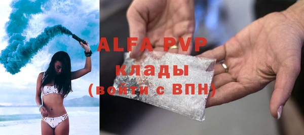 шишки Бородино