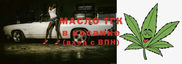 шишки Бородино