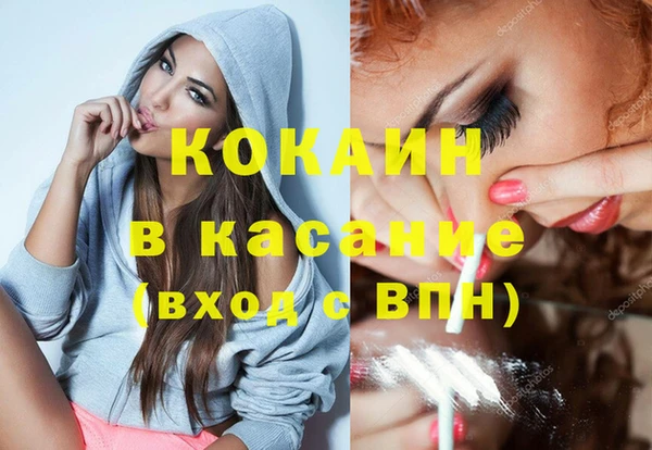 шишки Бородино
