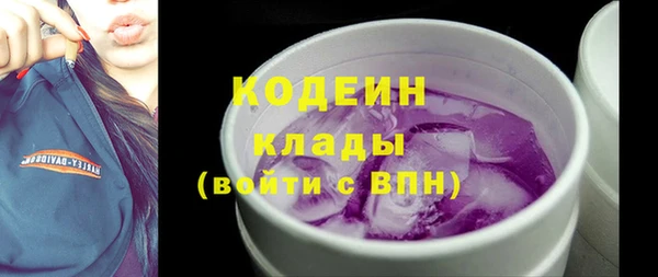 шишки Бородино