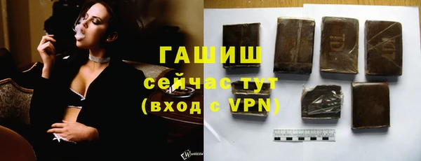 шишки Бородино