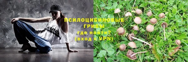 шишки Бородино