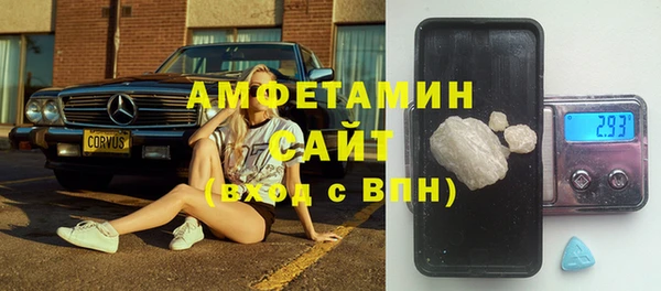 шишки Бородино