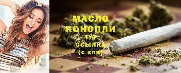 шишки Бородино