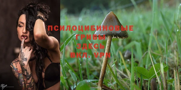 шишки Бородино