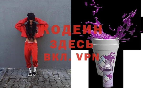 шишки Бородино