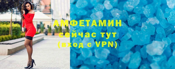 шишки Бородино