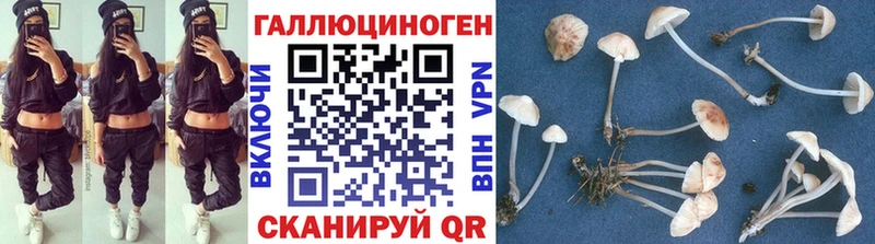 Псилоцибиновые грибы мицелий  Новосокольники 